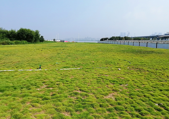 前海合作區鏟灣渠土地平整和軟基處理工程施工