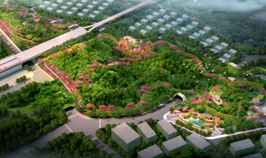 深圳光明區麒麟山公園全過程咨詢管理